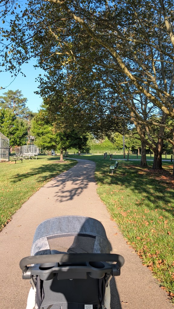 Stroller on a park walking path. It's a fall morning and the trees to the right are losing their leaves.
